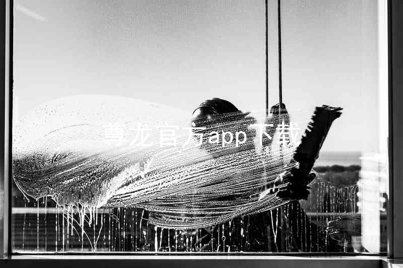 尊龙官方app下载